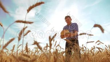 <strong>老农</strong>夫剪影面包师拿着一个金色的面包和面包在成熟的麦田对抗蓝天。 缓慢的生活方式